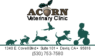 Acorn logo