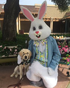 Julep with Easter bunny