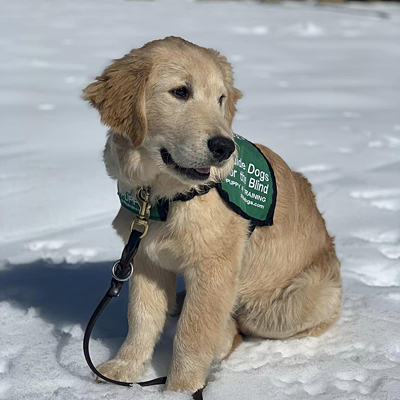 Malloy sitting in the snow
