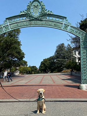 Drover sitting in front of arch