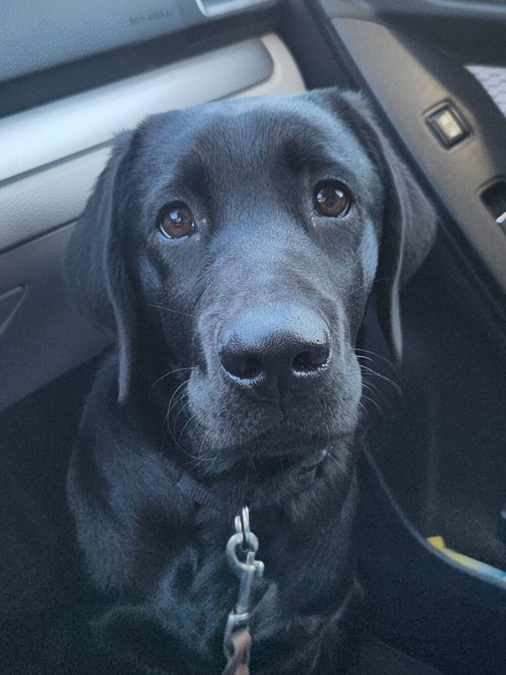 Roger in car 300x400